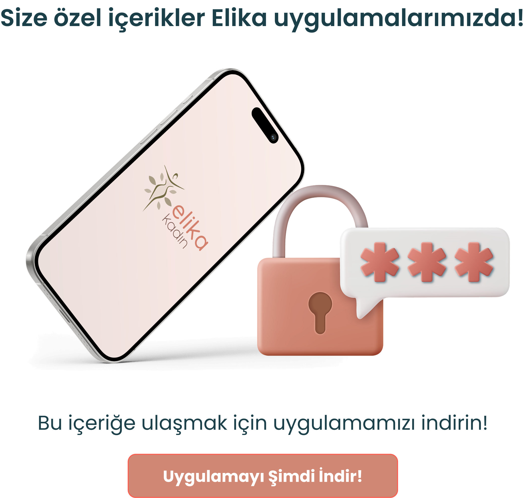 Gizli İçerik Resmi